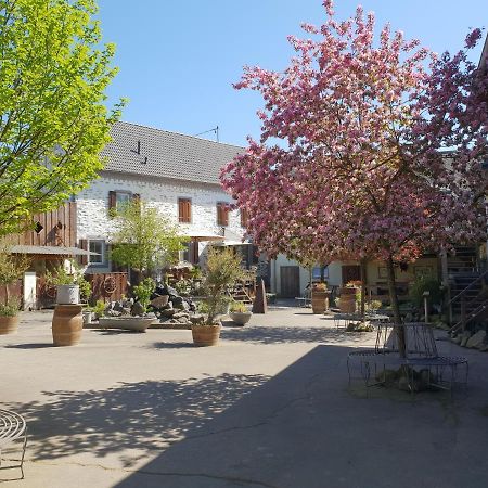 Besondere Ferienwohnung Spirit Auf Idyllischem Reiterhof Nahe Burg Eltz Münstermaifeld 外观 照片