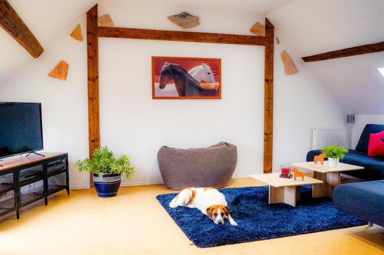 Besondere Ferienwohnung Spirit Auf Idyllischem Reiterhof Nahe Burg Eltz Münstermaifeld 外观 照片