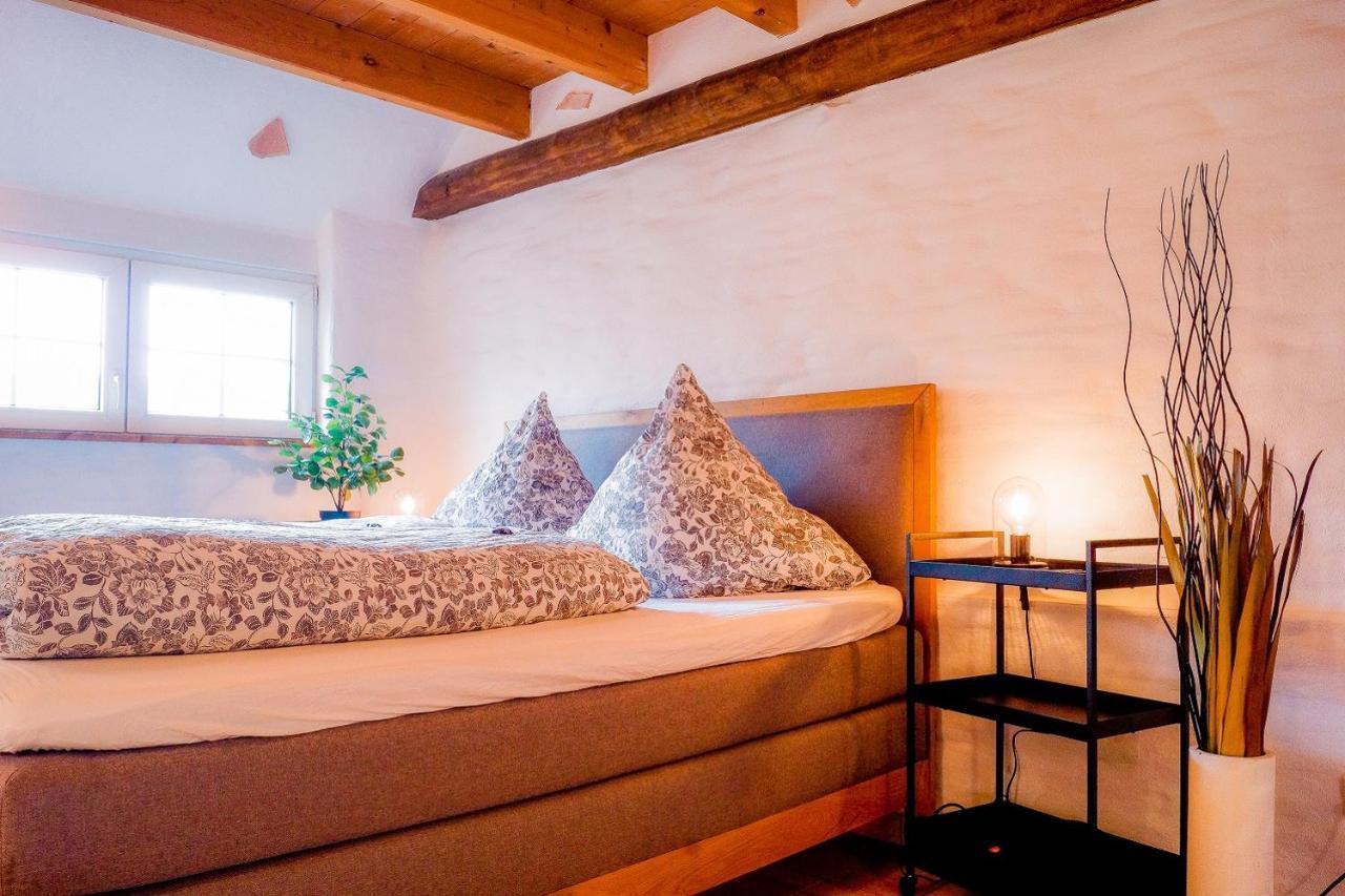 Besondere Ferienwohnung Spirit Auf Idyllischem Reiterhof Nahe Burg Eltz Münstermaifeld 外观 照片