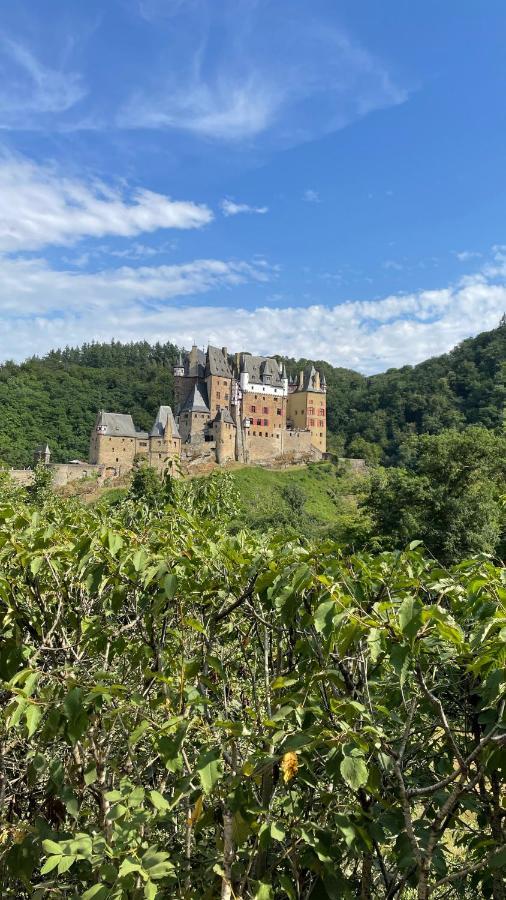 Besondere Ferienwohnung Spirit Auf Idyllischem Reiterhof Nahe Burg Eltz Münstermaifeld 外观 照片